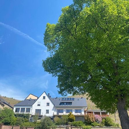 Kinheim Chateau-De-La-Moselle מראה חיצוני תמונה