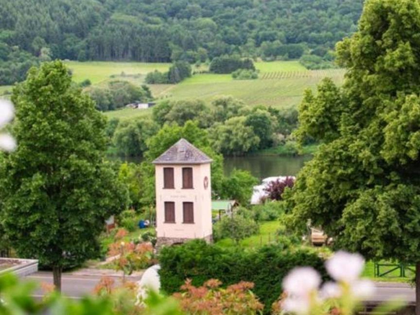 Kinheim Chateau-De-La-Moselle מראה חיצוני תמונה